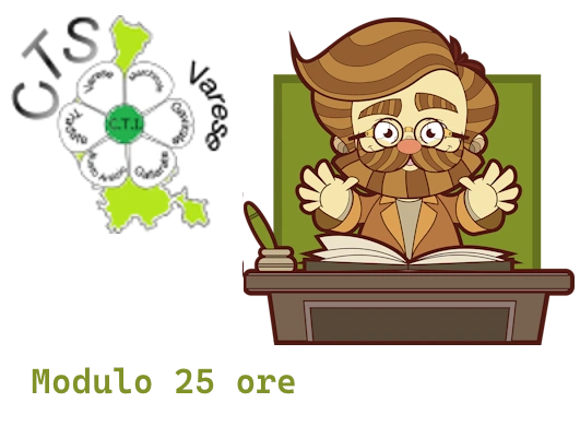 logo servizo Modulo 25 ore